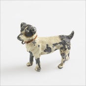 Image of Jack Russell / 1930s