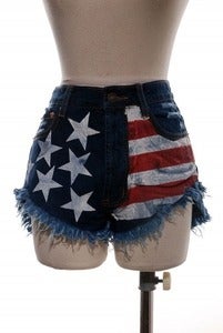 Image of American Nation