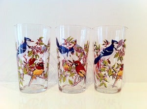 Image of VINTAGE SET OF 6 TROPICAL BIRD GLASSES