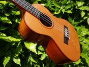Image of Kala KA-ATP-CT Solid Cedar/Acacia back and sides Tenor 