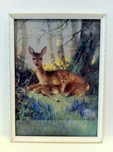 Image of VERNON WARD DEER PRINT