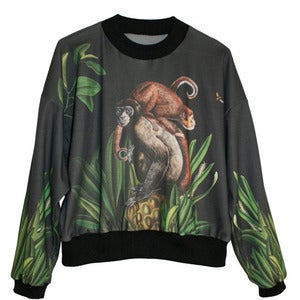Image of Monkey Cropped Sweater