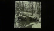 Image of InThyFlesh / Insalubre - Split 7"