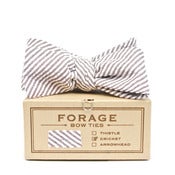 Image of summer stripes {bow tie}