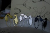 Image of Sycamore Shadow Earrings...