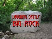 Image of "Big Rock"