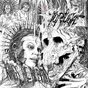 Image of TORTUGA "Kings of Abany" LP
