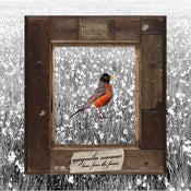 Image of Magnolia Summer: Lines From The Frame - CD
