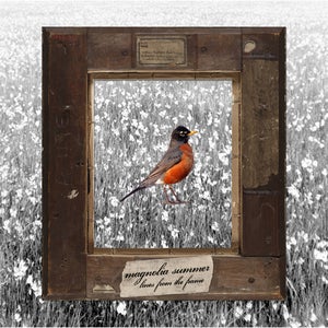 Image of Magnolia Summer: Lines From The Frame - CD