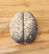 Image of ::Broche Cerebro::