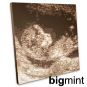 Image of Babyscan Commissions