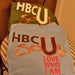 Image of HBCU Soul Long Sleeve Hoody (Ladies)