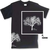 Image of tree