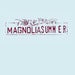 Image of Magnolia Summer: Levers And Pulleys Shirt