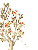 Image of Fall