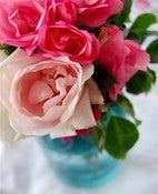 Image of Mireio Roses Postcards -- Set of 5