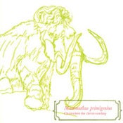 Image of Mammuthus primigenius EP