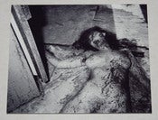 Image of "LuLu"  Photo Plaque
