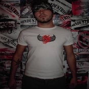 Image of Sin Wing