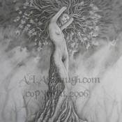 Image of Dryad 1