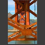 Image of Under the Gate