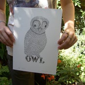 Image of Artists' print - Owl
