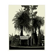 Image of Evan Hecox  - Trees Print