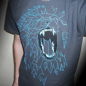 Image of ROAR