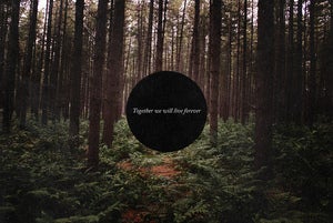 Image of Together We Will Live Forever