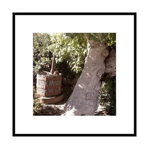 Image of AMADOR Matted/Framed Canvas Print