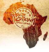 Image of HomeGrown: HipLife in Ghana DVD (Institutional)