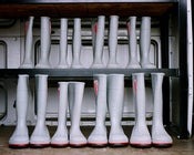 Image of The Pit Boot