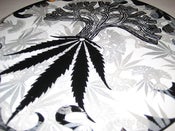 Image of Chea Trees Record