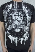 Image of Lion