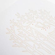 Image of Hidden Forest cards