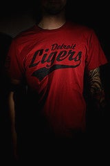 Image of Detroit Ligers