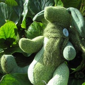 Image of Greeney