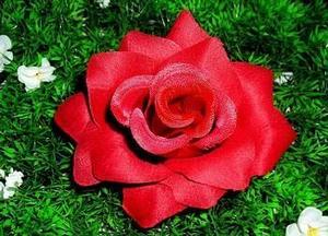 Image of Lola's Scarlet Red Rose Hair Clip