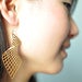 Image of Curve Earrings