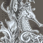 Image of Sea Horse