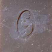 Image of Echinacea Clove Soap with fair trade shea butter
