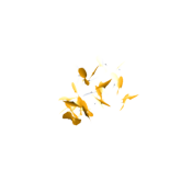 Image of Opart Loops