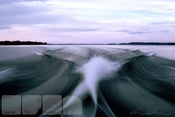 Image of Wake Print