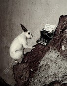 Image of The Writer