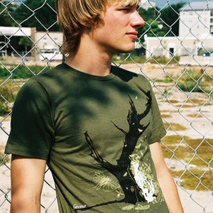 Image of locust