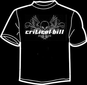 Image of Winged Skull Design