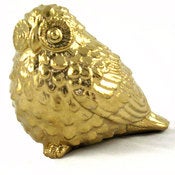 Image of Owl by Pirdy
