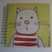 Image of 100drine Notebooks