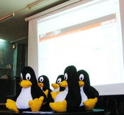 Image of Peluche del tux