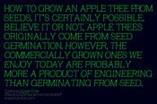 Image of Apple Tree